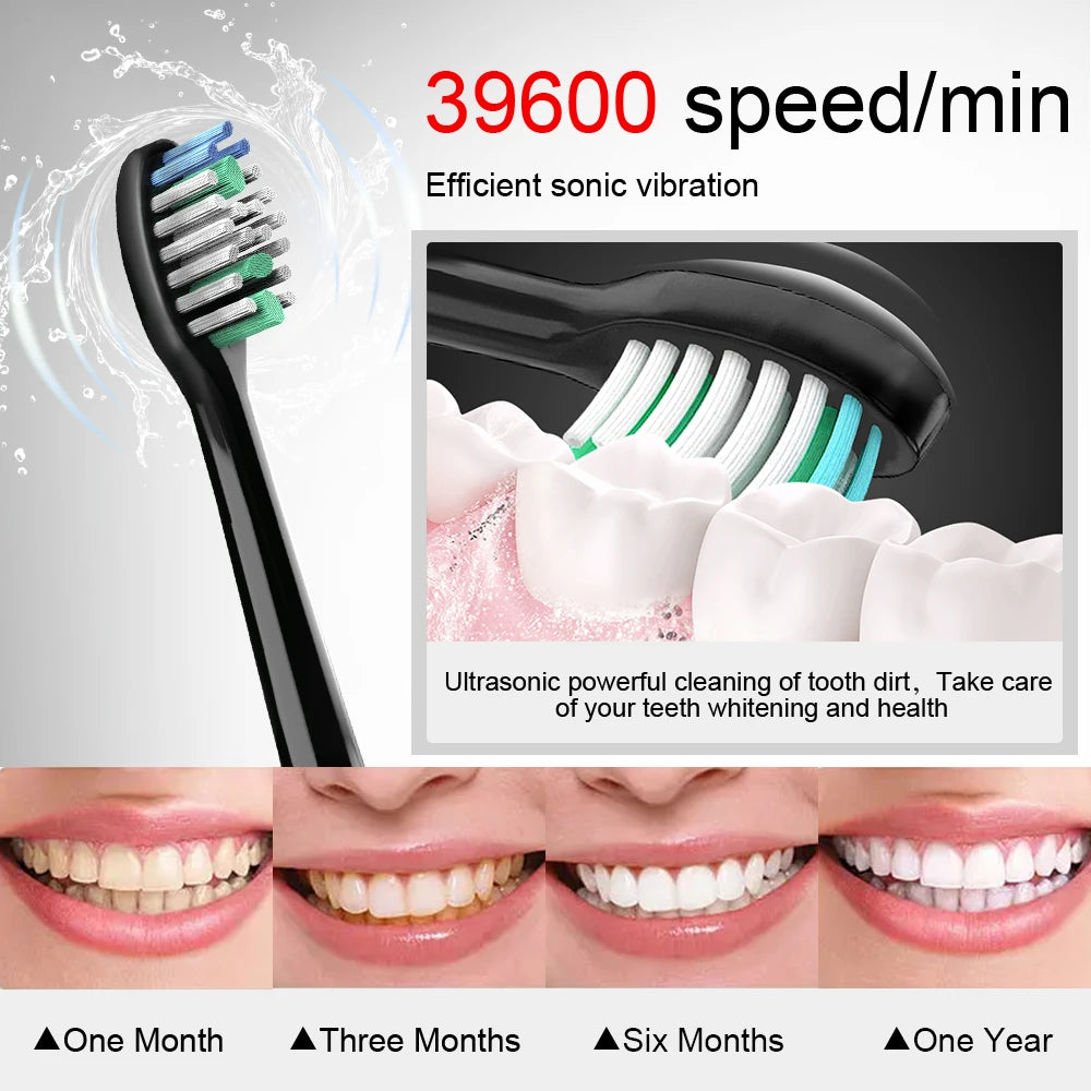 Electric Sonic Toothbrush 8 Brush Heads Smart Ultrasonic Dental Teeth Whitening Rechargeable Adult Tooth Brush Sarmocare S100