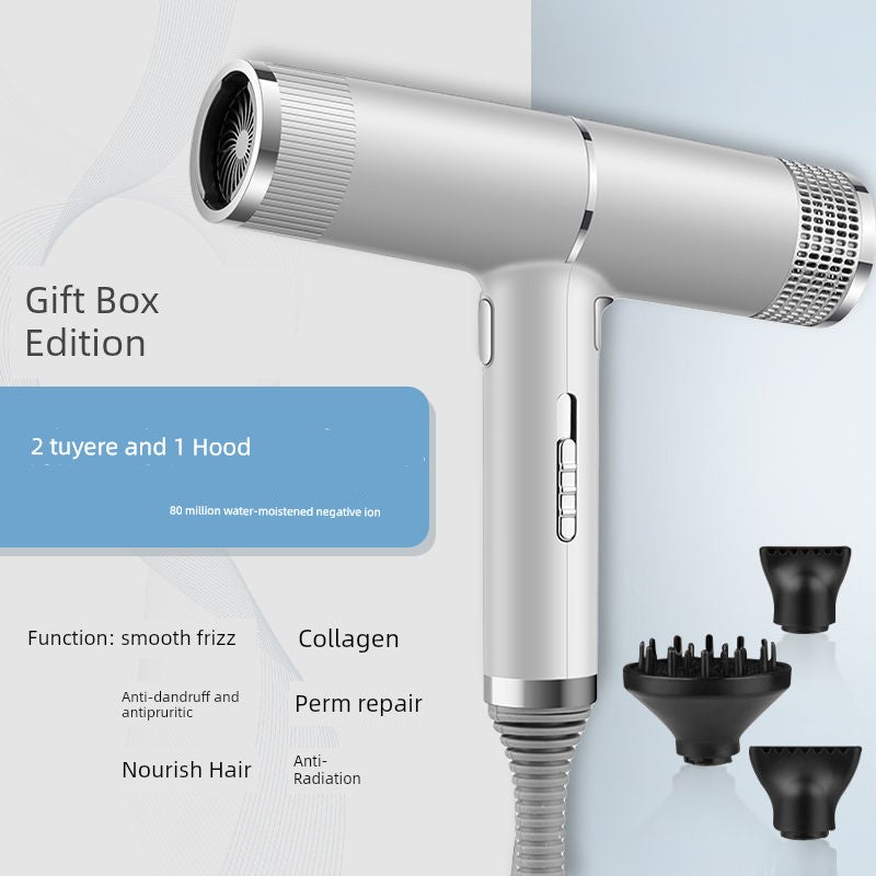 Dormitory German Anion Barber Shop Quick-Drying Hair Dryer