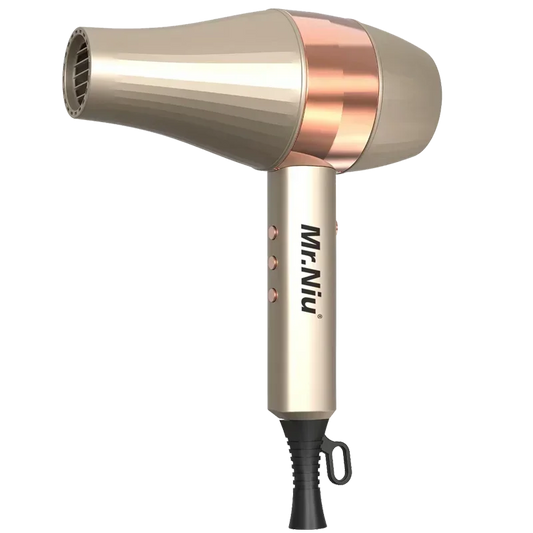 Professional Ionic Hair Dryer | Powerful Blow Dryer with Fast Heating, Hot & Cold Settings, Air Collecting Design