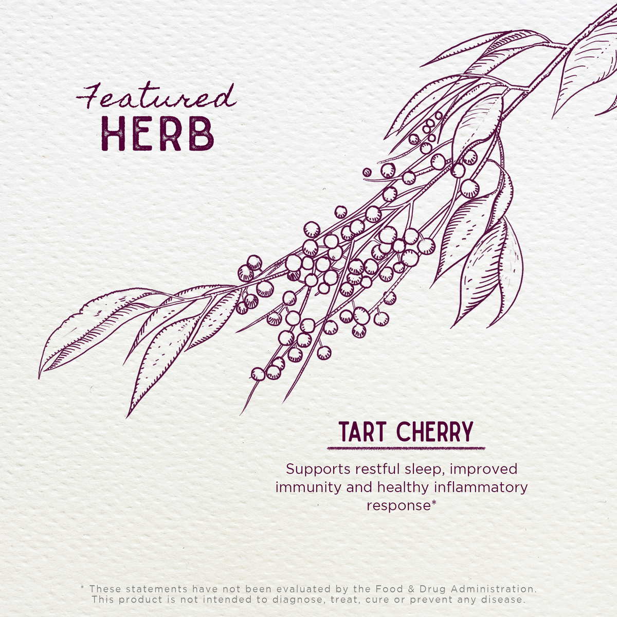 Tart Cherry Tincture