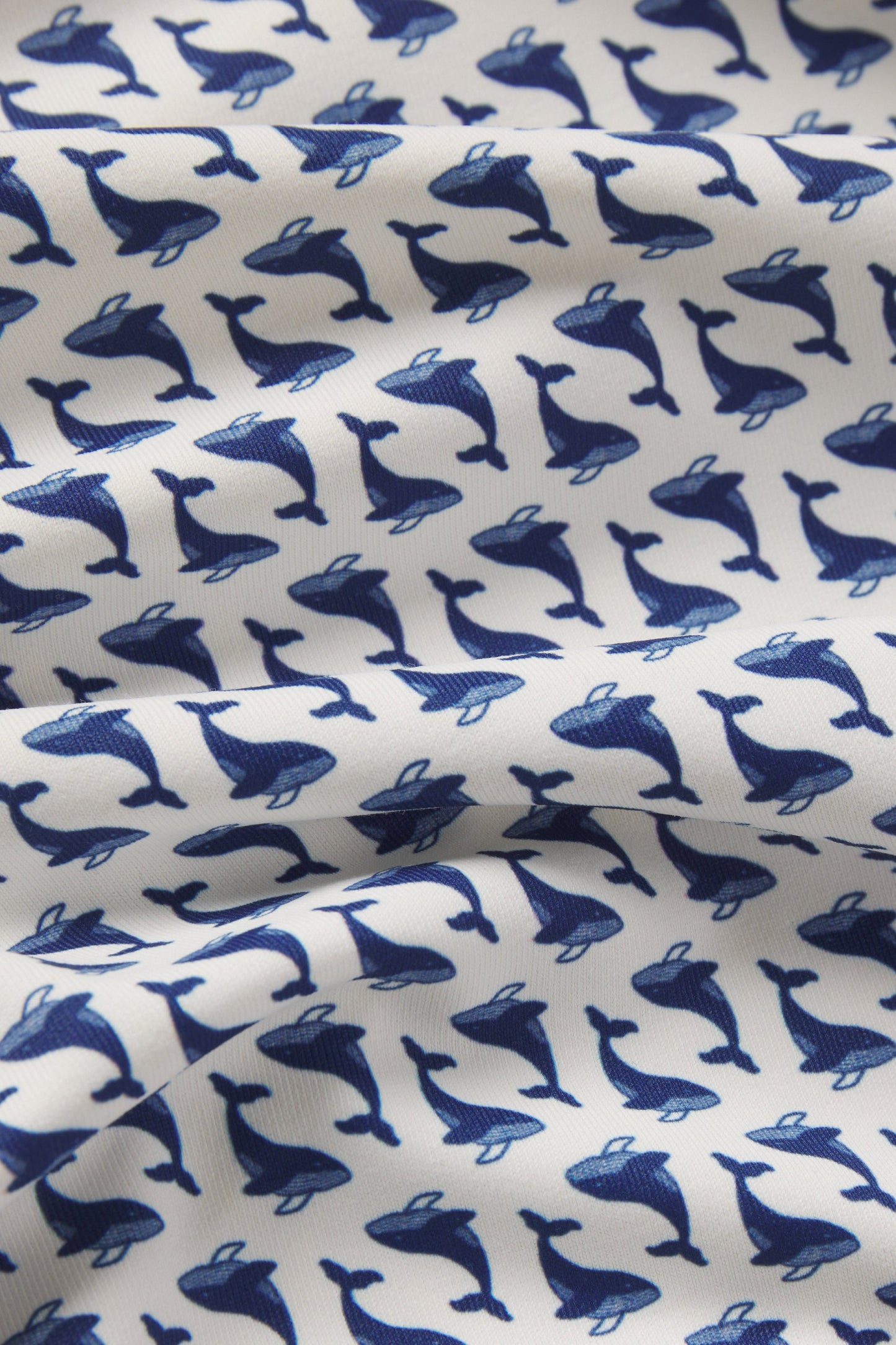 Catalyst Polo | Mantra Collar | Humpback