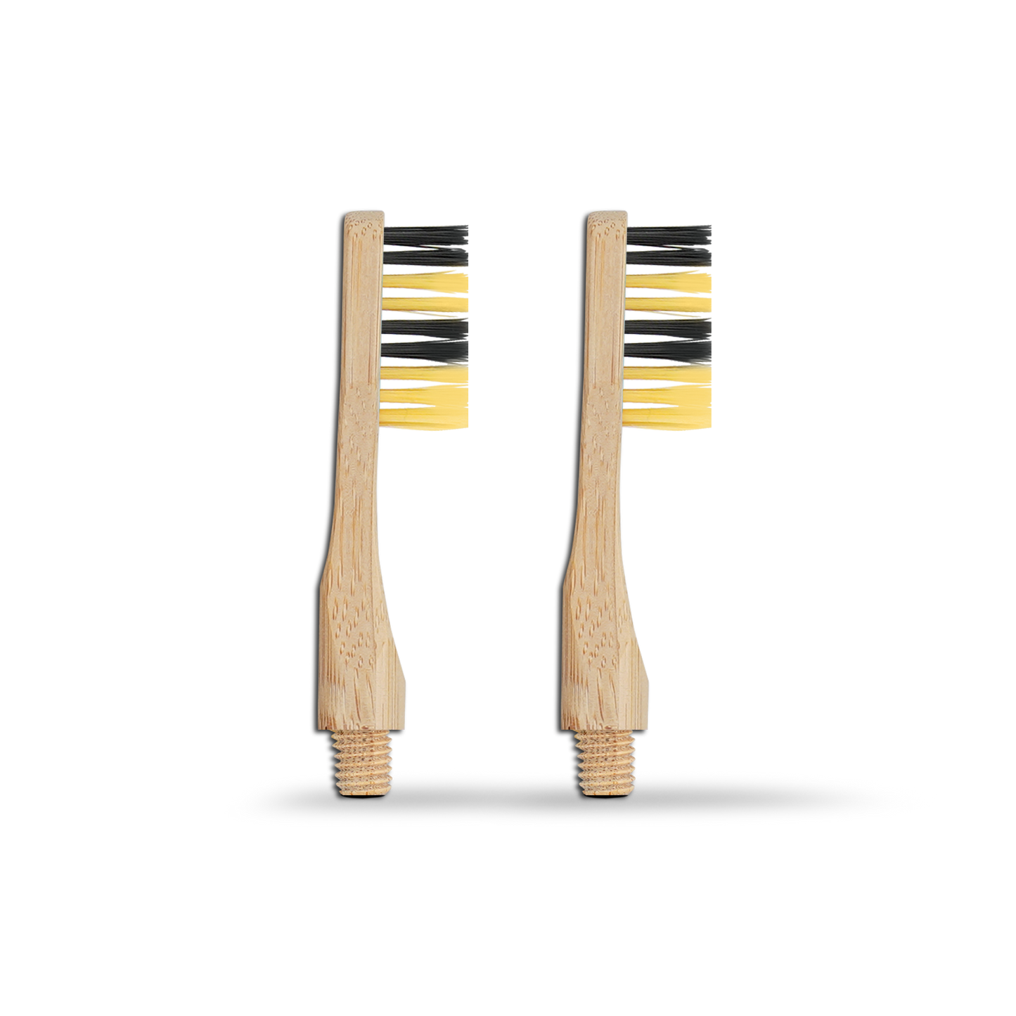 Revolve Toothbrush Starter Set