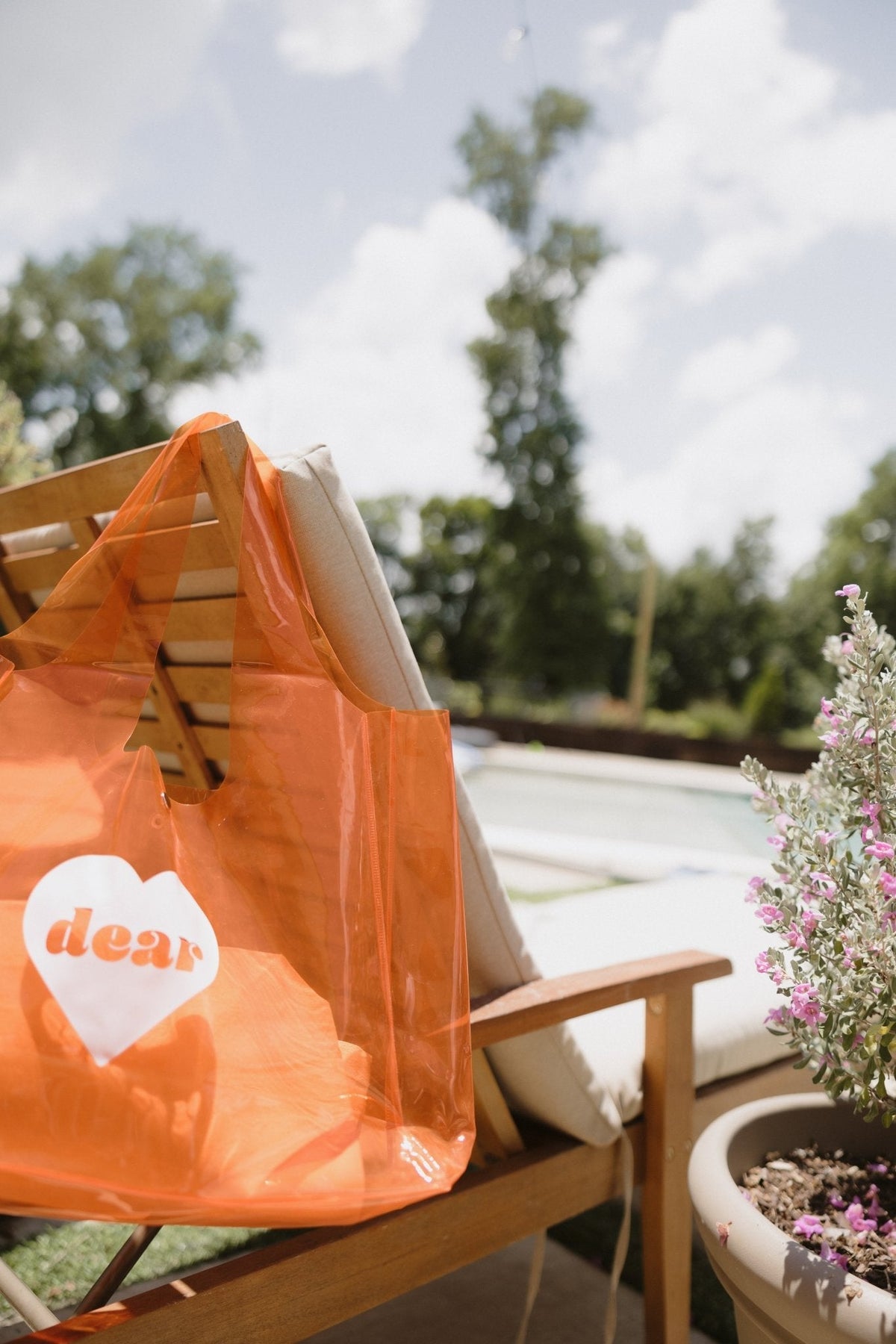 Clear Cutie Tote