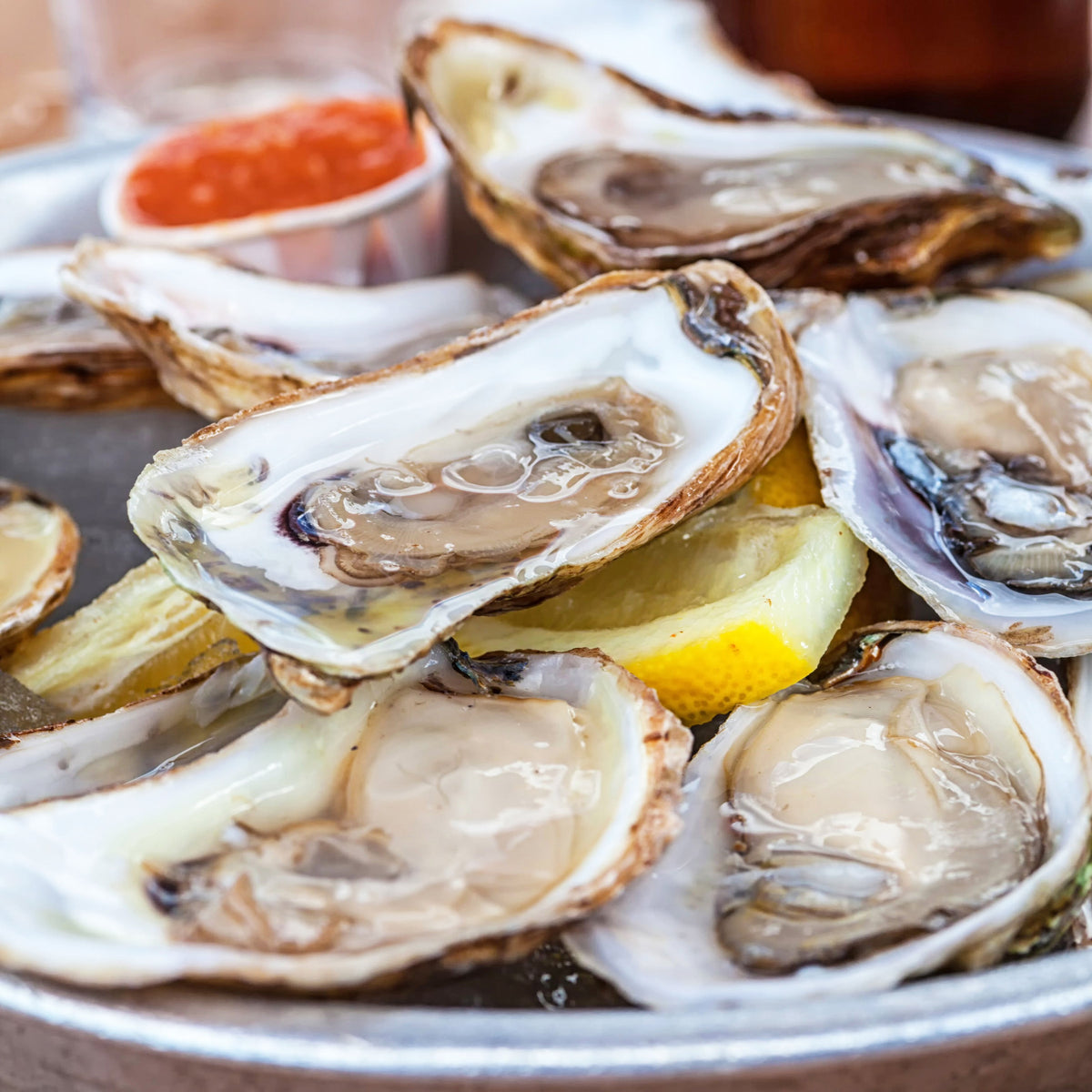 Buy Fresh Carbajal Oysters - 50 PCS Live Pacific Oysters