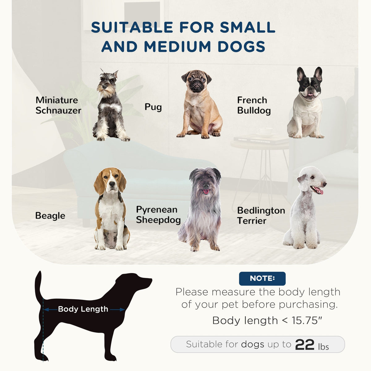 Elevated Pet Sofa Bed with Storage - Small & Medium Dogs