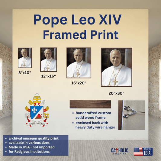 Pope Leo XIV Framed Print