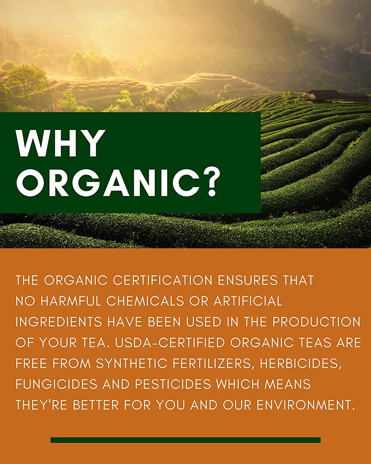 Turmeric Ginger Chai Tea, Anti-Inflammatory - Ayurvedic - Organic