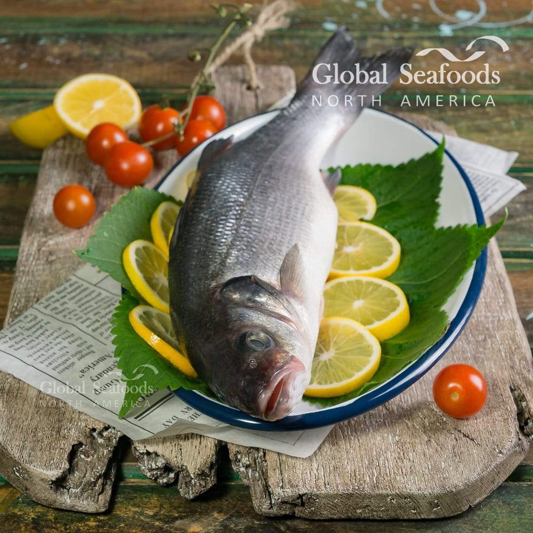 Branzino Whole 5 lbs - Premium European Bass