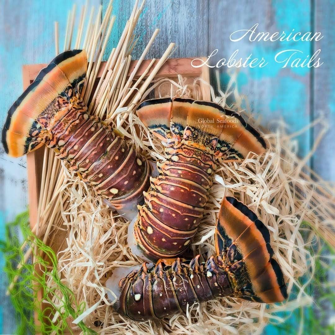 Caribbean Warm Water Lobster Tails - 5 lbs