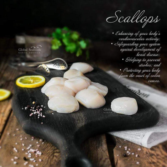 Jumbo Sea Scallops – Premium Wild-Caught Scallops | Global Seafoods