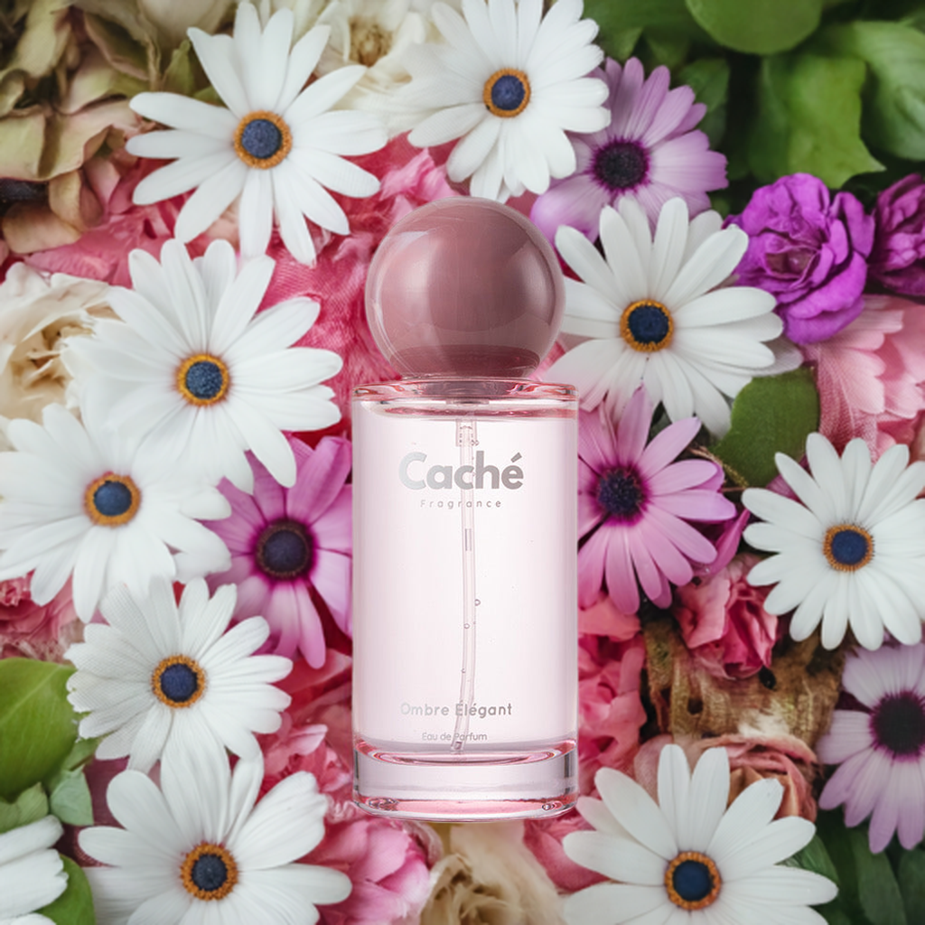 Caché - Ombre Élégant