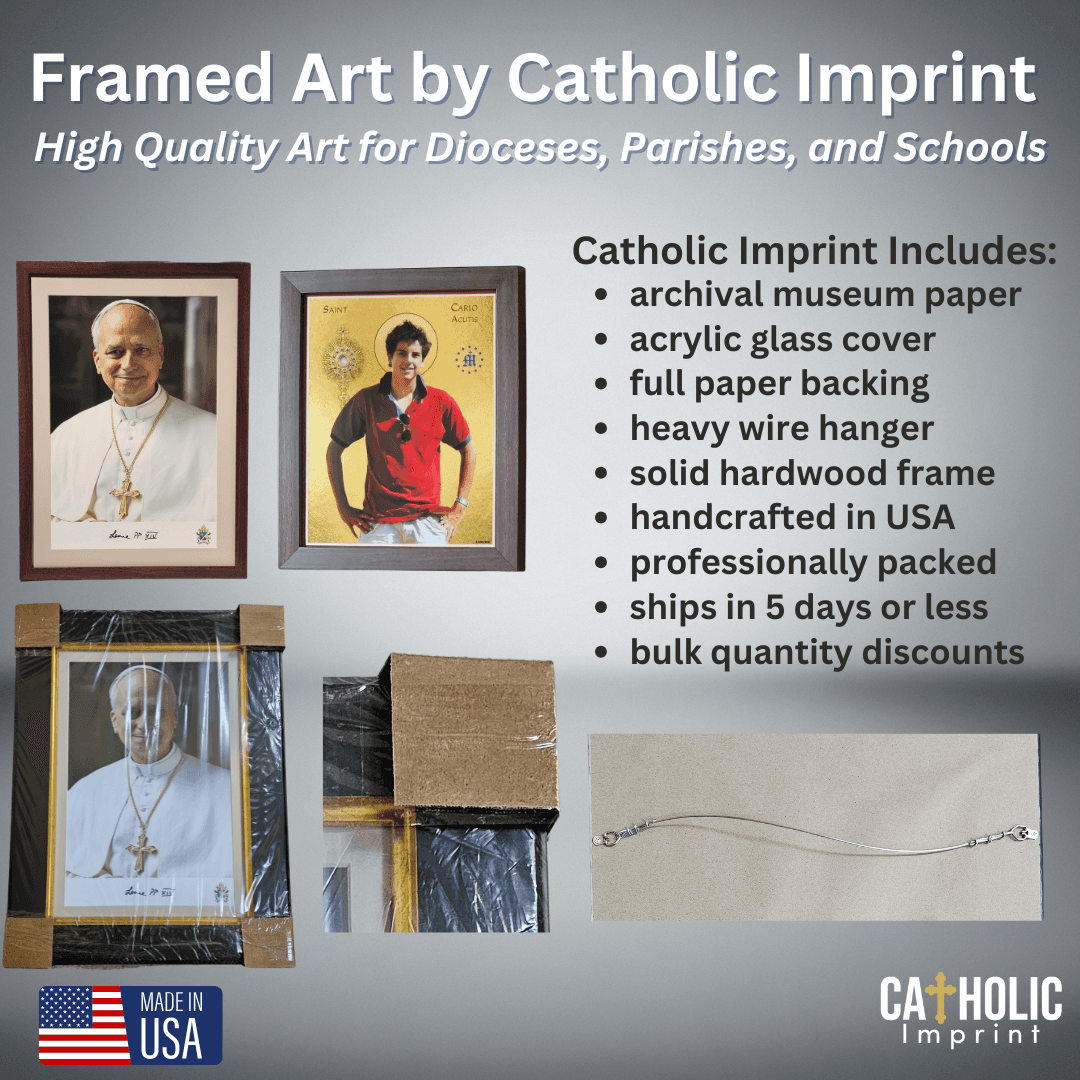 Pope Leo XIV Framed Print