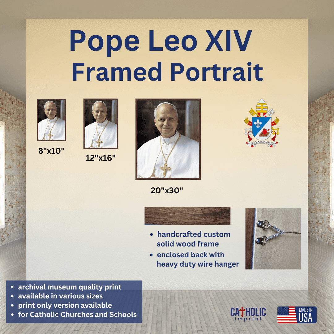 Pope Leo XIV Framed Print