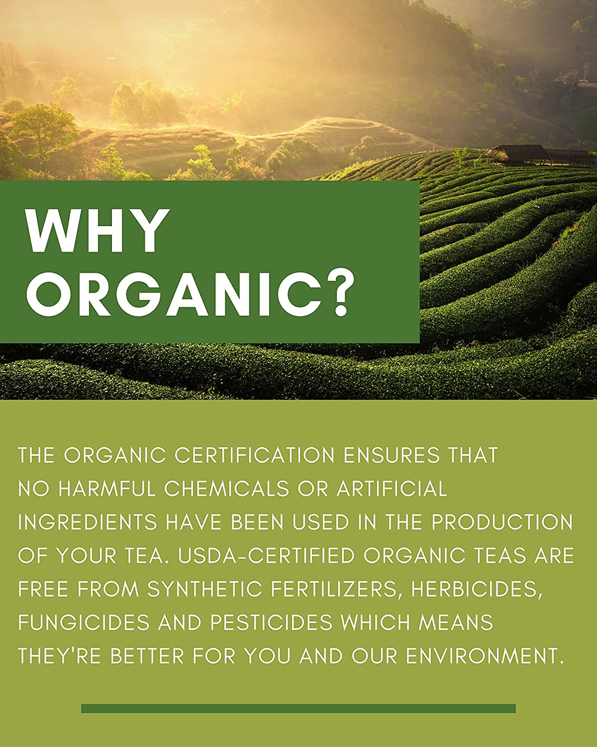 Lemon Spearmint Tea, Refreshing Herbal Blend - Organic & Kosher