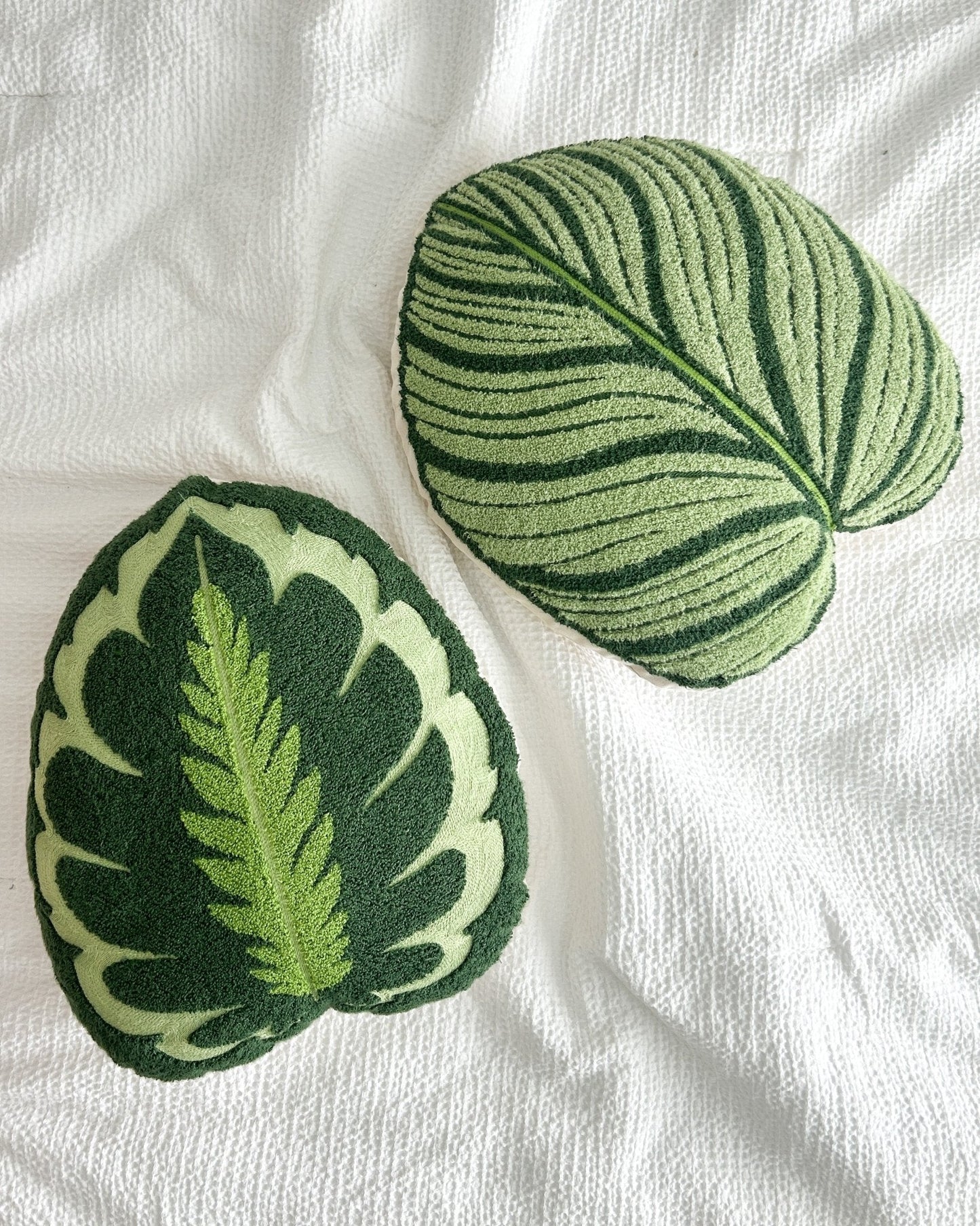 Tufted Calathea Orbifolia Leaf Decor Pillow