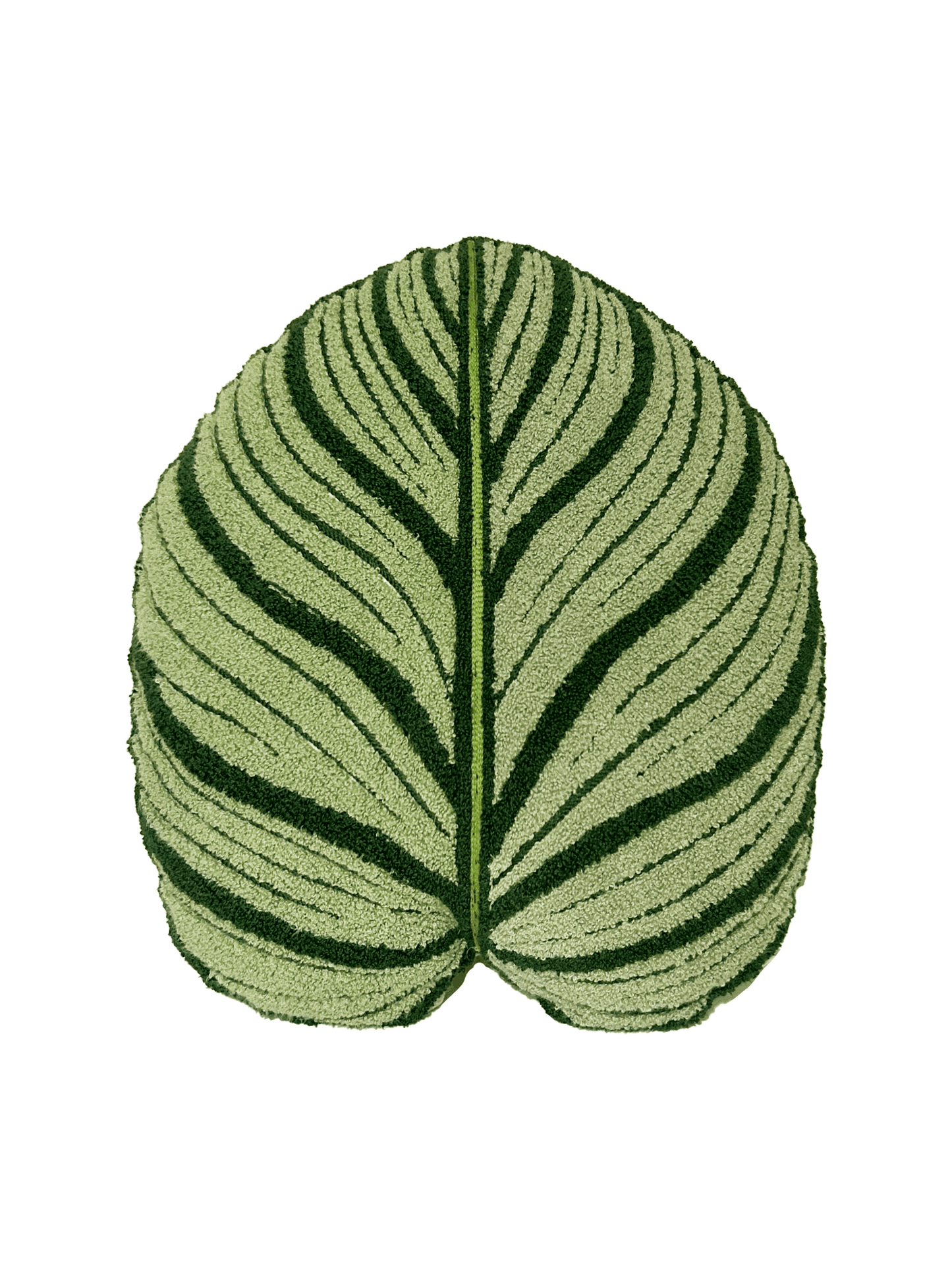 Tufted Calathea Orbifolia Leaf Decor Pillow