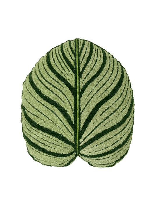 Tufted Calathea Orbifolia Leaf Decor Pillow