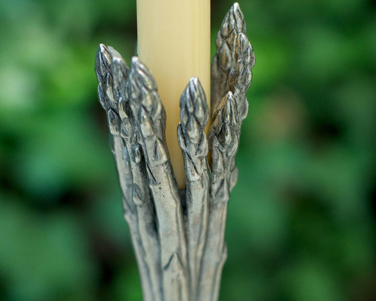 Asparagus Candlestick