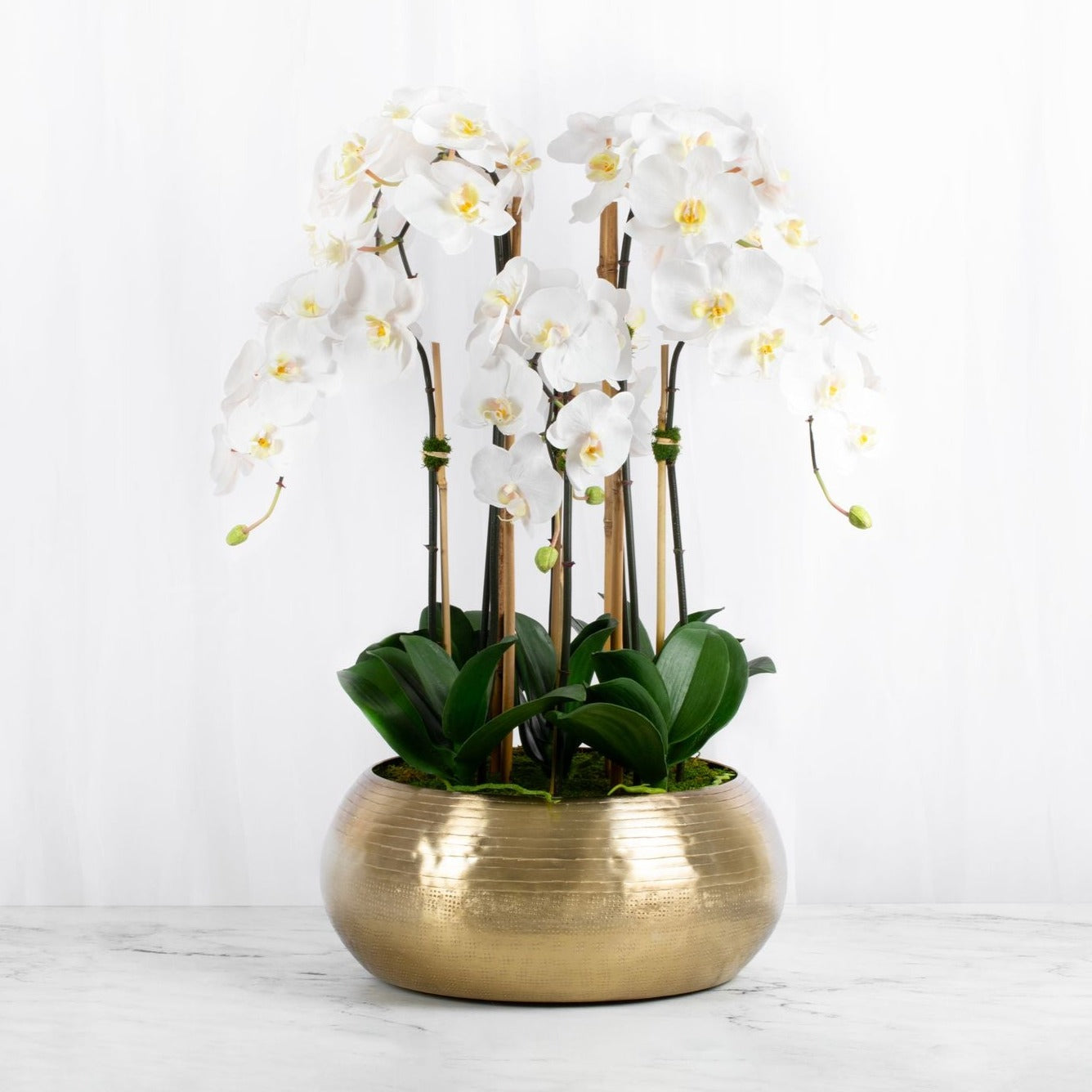 Large Orchid Centerpiece Arrangement in Gold Vase