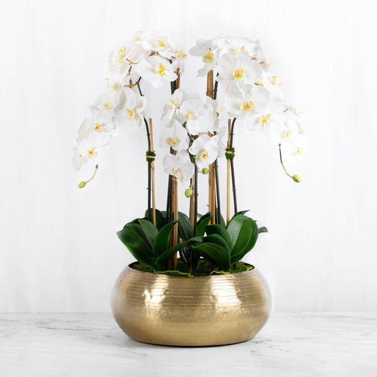 Large Orchid Centerpiece Arrangement in Gold Vase