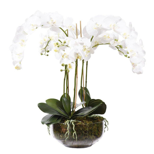 White Silk Orchid Arrangement in Glass Vase